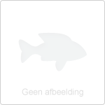 HSV De Toekomst ONLINE